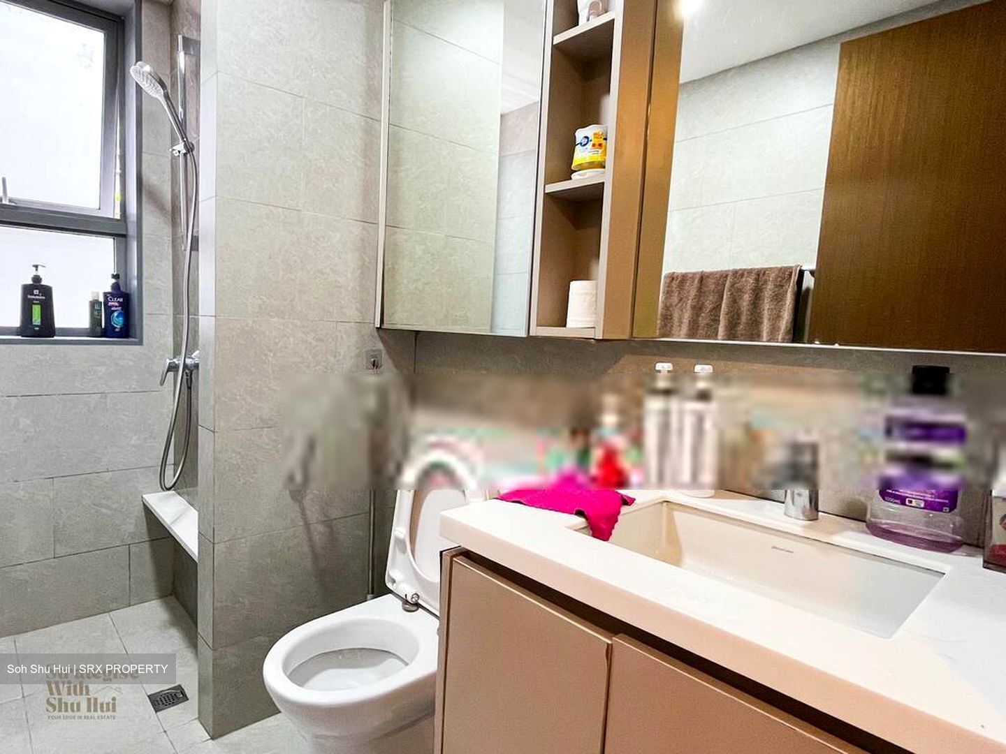 The Visionaire (D27), Condominium #582336381